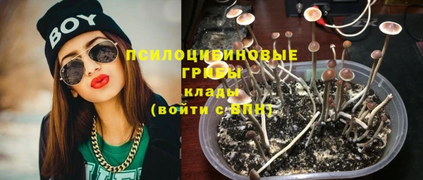 дживик Дмитриев