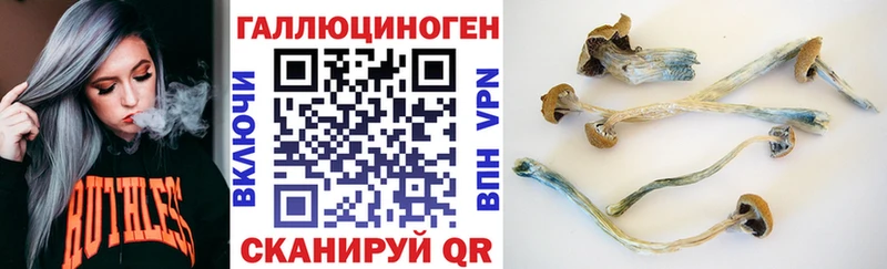 blacksprut как зайти Заводоуковск Псилоцибиновые грибы Psilocybine cubensis